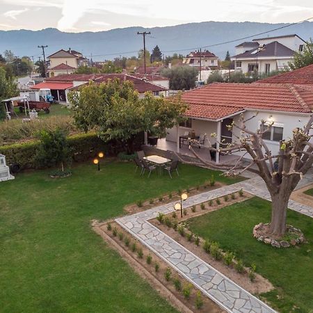 Вілла Castellano Vasiliki Vasiliki  Екстер'єр фото