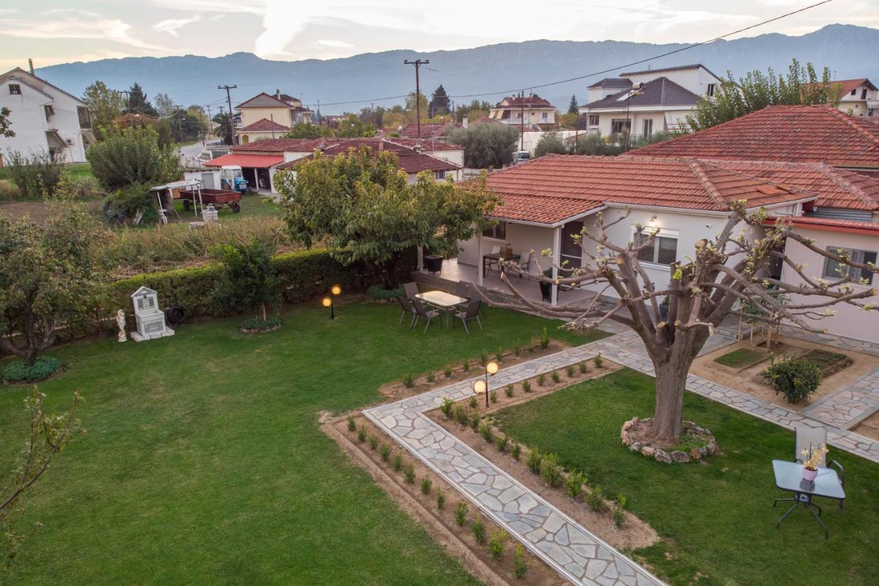Вілла Castellano Vasiliki Vasiliki  Екстер'єр фото